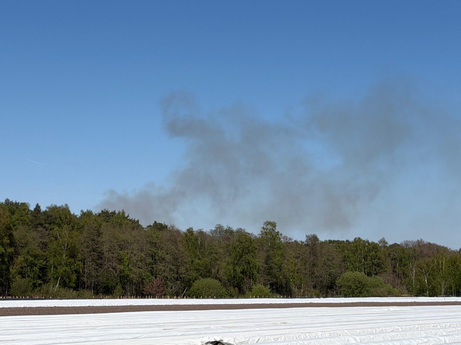 Meppen – Flächenbrand auf Gelände vom WTD 91 – keine Verletzten